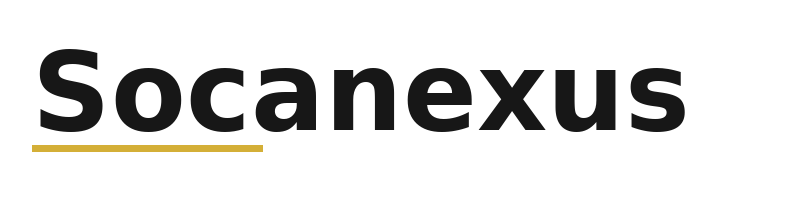 Socanexus logo